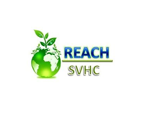 REACHJCʲô